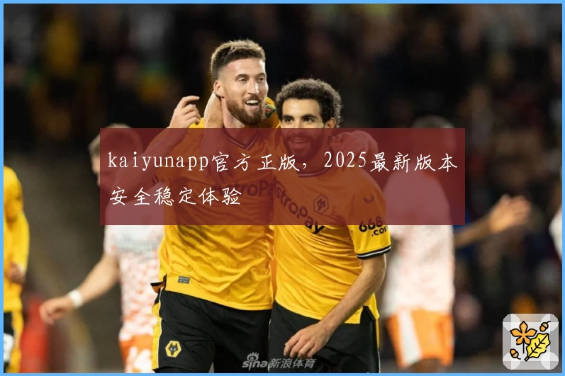 kaiyunapp官方正版，2025最新版本安全稳定体验