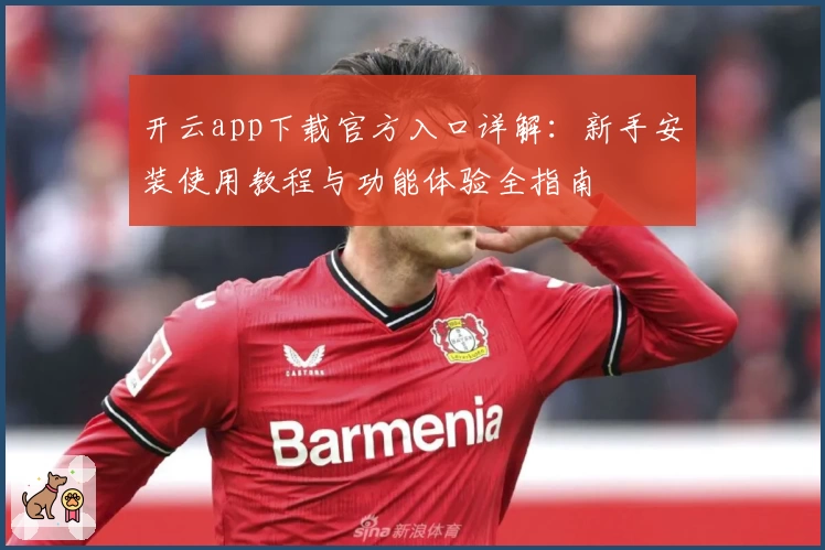 开云app下载官方入口详解：新手安装使用教程与功能体验全指南