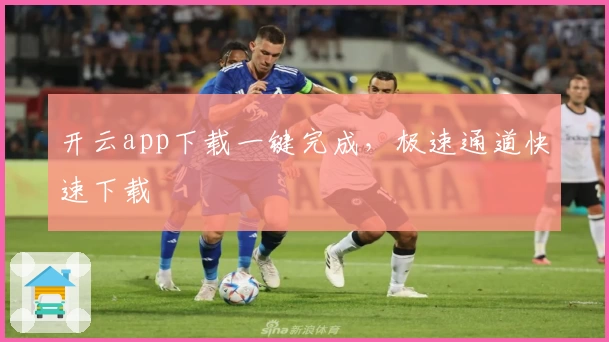 开云app下载一键完成，极速通道快速下载