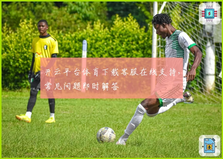 开云平台体育下载客服在线支持,常见问题即时解答
