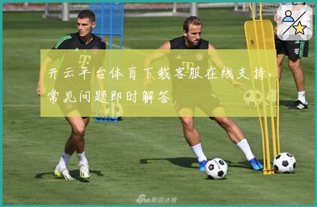 开云平台体育下载客服在线支持,常见问题即时解答